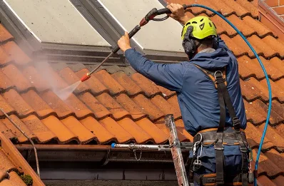 Démoussage et hydrofuge de toiture à Lignon